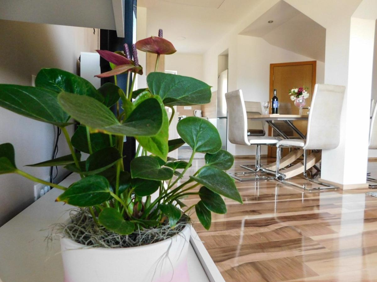 Apartman Lara 오토칵 외부 사진